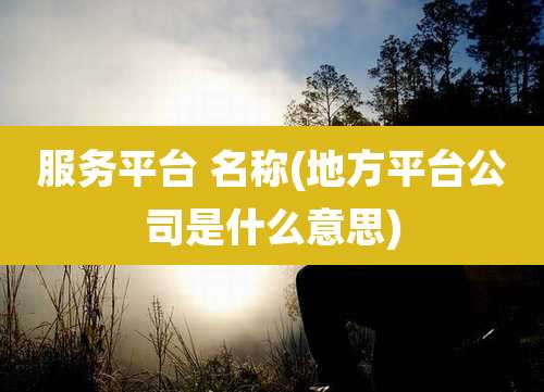 服务平台 名称(地方平台公司是什么意思)