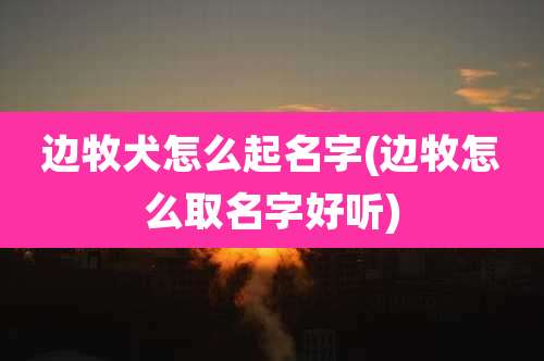 边牧犬怎么起名字(边牧怎么取名字好听)