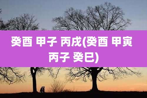 癸酉 甲子 丙戌(癸酉 甲寅 丙子 癸巳)