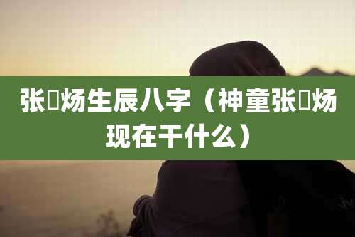 张炘炀生辰八字(神童张炘炀现在干什么)