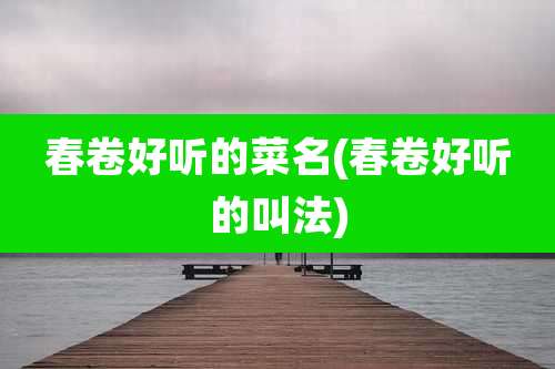 春卷好听的菜名(春卷好听的叫法)