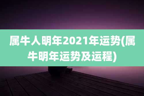 属牛人明年2021年运势(属牛明年运势及运程)