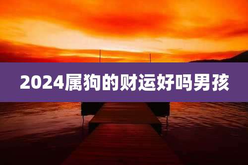 2024属狗的财运好吗男孩