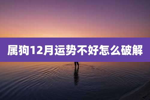 属狗12月运势不好怎么破解