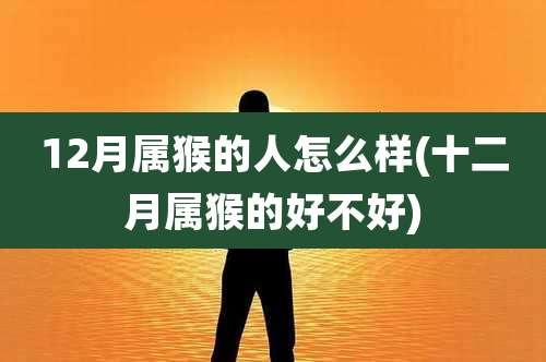 12月属猴的人怎么样(十二月属猴的好不好)