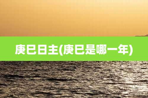 庚巳日主(庚巳是哪一年)