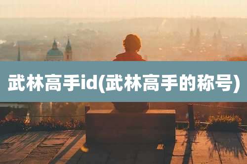 武林高手id(武林高手的称号)