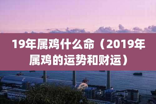 19年属鸡什么命（2019年属鸡的运势和财运）