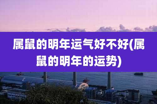 属鼠的明年运气好不好(属鼠的明年的运势)