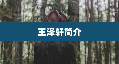 王泽轩简介