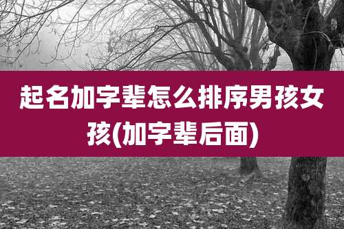 起名加字辈怎么排序男孩女孩(加字辈后面)