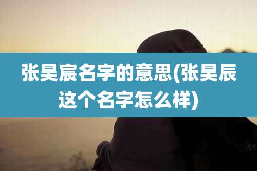 张昊宸名字的意思(张昊辰这个名字怎么样)