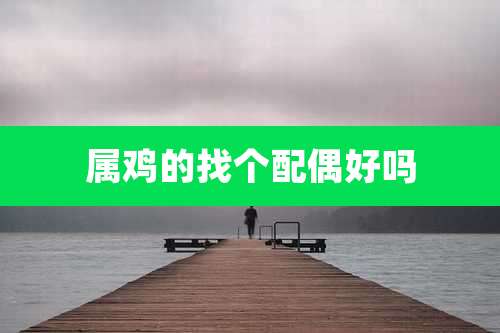 属鸡的找个配偶好吗