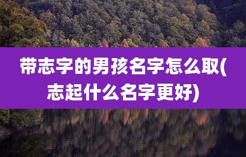 带志字的男孩名字怎么取(志起什么名字更好)