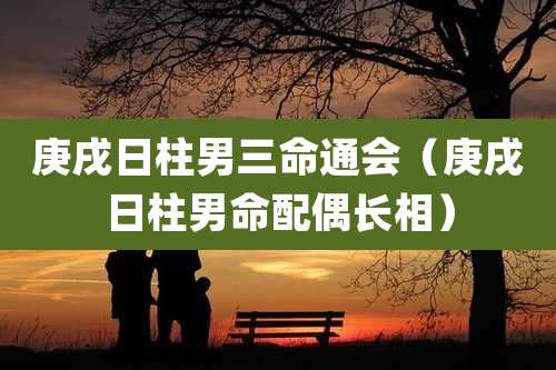 庚戌日柱男三命通会(庚戌日柱男命配偶长相)