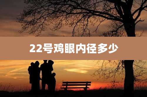 22号鸡眼内径多少