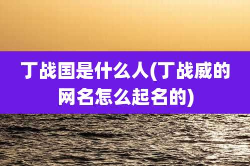 丁战国是什么人(丁战威的网名怎么起名的)