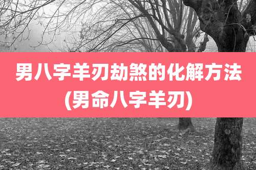 男八字羊刃劫煞的化解方法(男命八字羊刃)