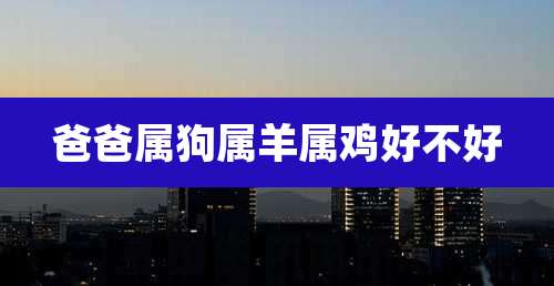 爸爸属狗属羊属鸡好不好