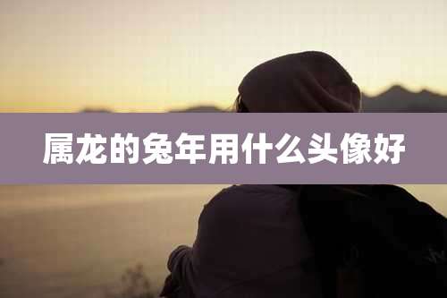 属龙的兔年用什么头像好