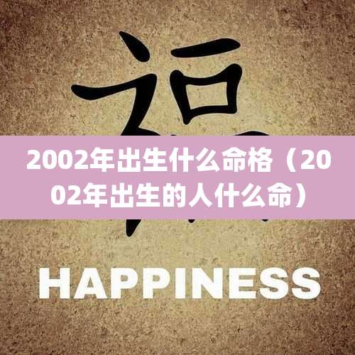 2002年出生什么命格（2002年出生的人什么命）