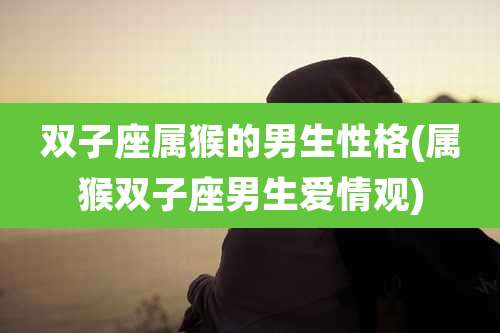 双子座属猴的男生性格(属猴双子座男生爱情观)