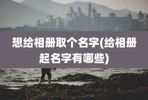 想给相册取个名字(给相册起名字有哪些)