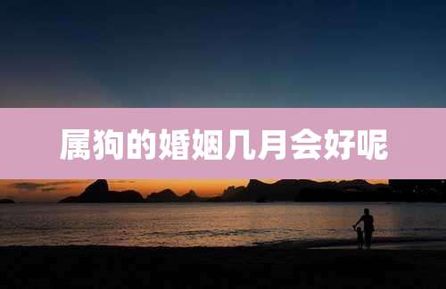 属狗的婚姻几月会好呢