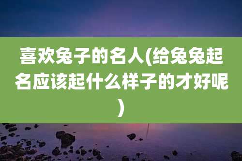 喜欢兔子的名人(给兔兔起名应该起什么样子的才好呢)
