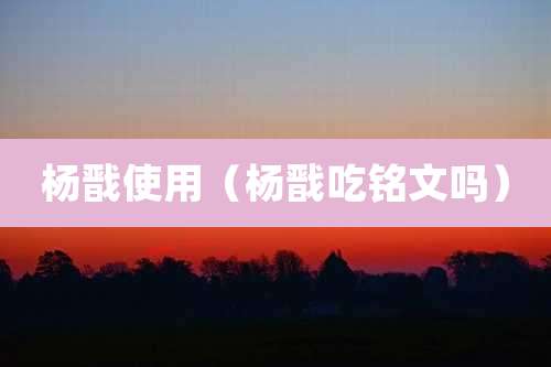 杨戬使用（杨戬吃铭文吗）