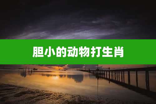 胆小的动物打生肖