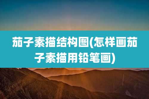 茄子素描结构图(怎样画茄子素描用铅笔画)
