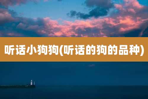 听话小狗狗(听话的狗的品种)
