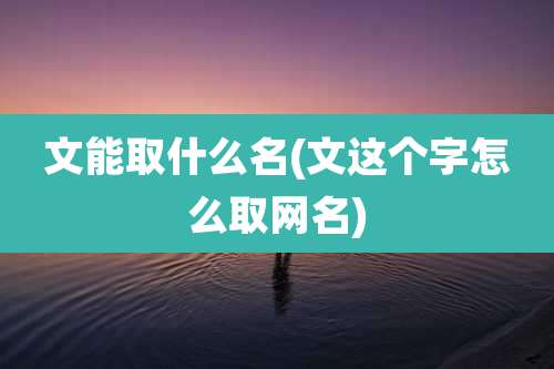 文能取什么名(文这个字怎么取网名)