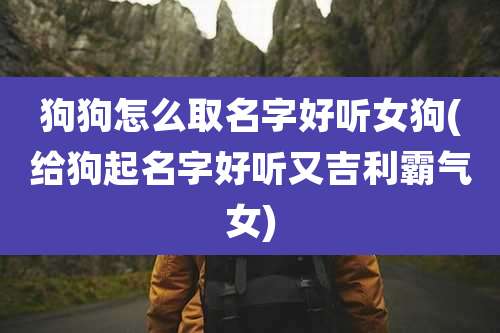 狗狗怎么取名字好听女狗(给狗起名字好听又吉利霸气女)