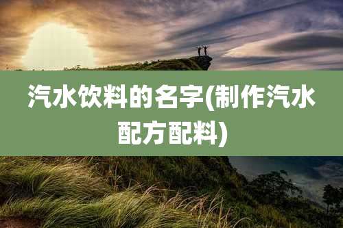 汽水饮料的名字(制作汽水配方配料)