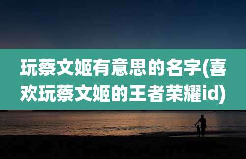 玩蔡文姬有意思的名字(喜欢玩蔡文姬的王者荣耀id)