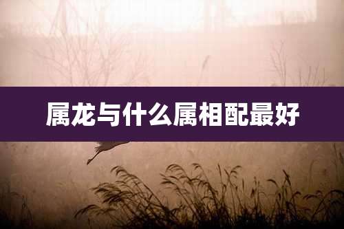 属龙与什么属相配最好