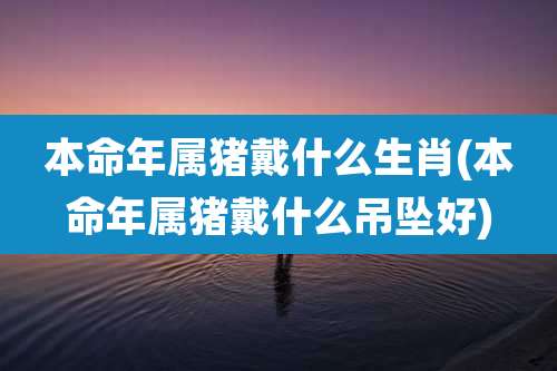 本命年属猪戴什么生肖(本命年属猪戴什么吊坠好)