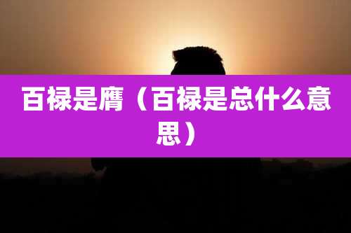 百禄是膺（百禄是总什么意思）