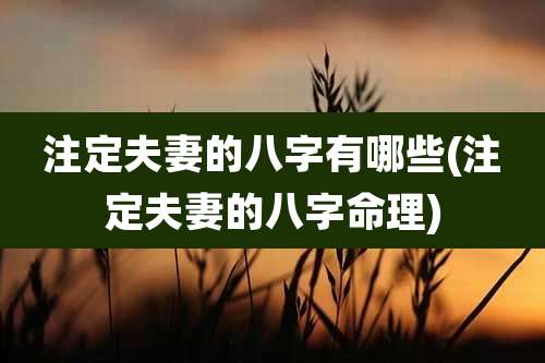 注定夫妻的八字有哪些(注定夫妻的八字命理)
