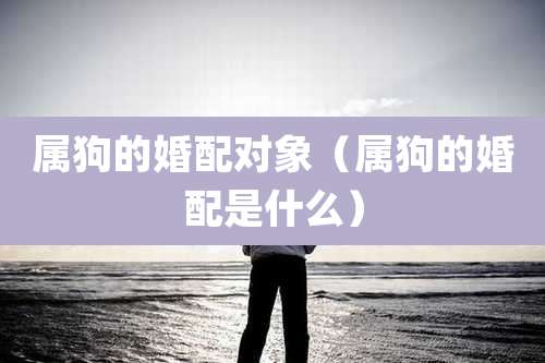 属狗的婚配对象（属狗的婚配是什么）