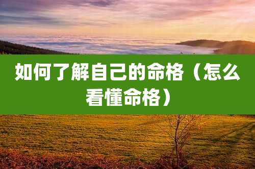 如何了解自己的命格（怎么看懂命格）