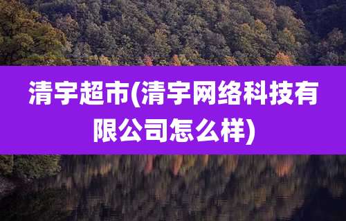 清宇超市(清宇网络科技有限公司怎么样)
