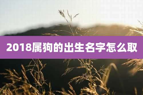 2018属狗的出生名字怎么取