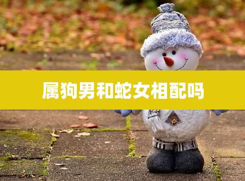 属狗男和蛇女相配吗