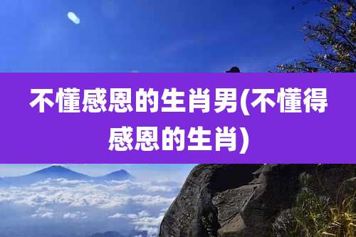 不懂感恩的生肖男(不懂得感恩的生肖)