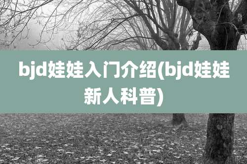 bjd娃娃入门介绍(bjd娃娃新人科普)