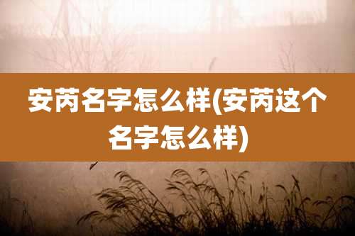安芮名字怎么样(安芮这个名字怎么样)