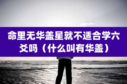 命里无华盖星就不适合学六爻吗(什么叫有华盖)